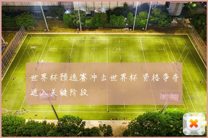 世界杯预选赛冲击世界杯 资格争夺进入关键阶段