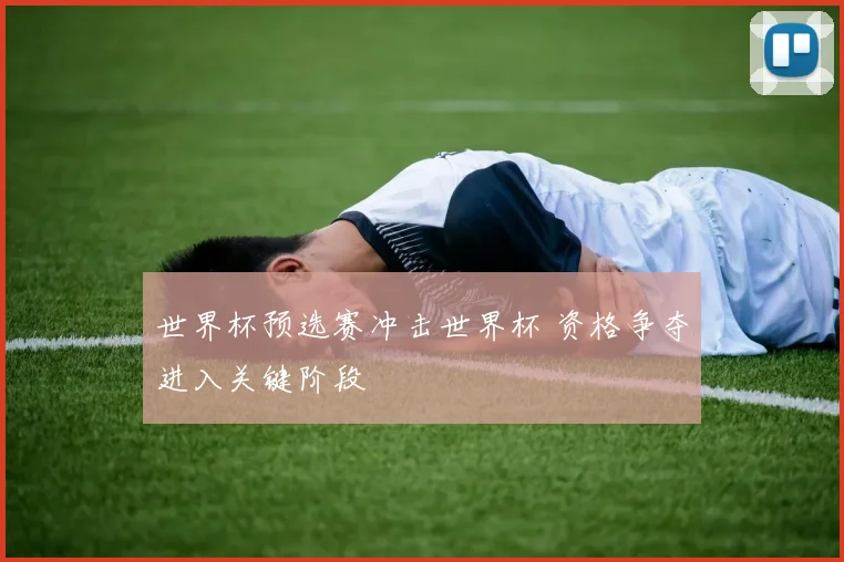世界杯预选赛冲击世界杯 资格争夺进入关键阶段