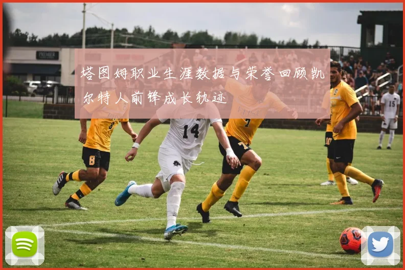 塔图姆职业生涯数据与荣誉回顾凯尔特人前锋成长轨迹